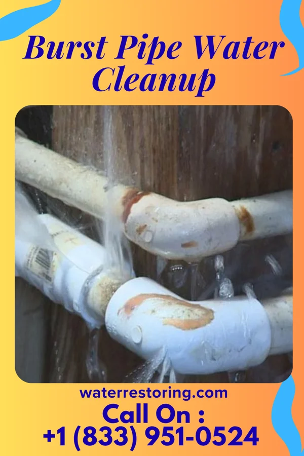 Burst Pipe Water Cleanup in Vonore, TN