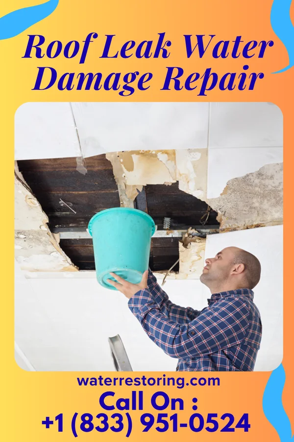Roof Leak Water Damage Repair in Vonore, TN